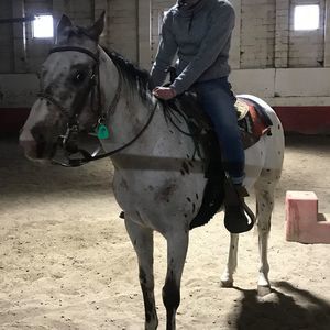 Meet your Posher, Tyler